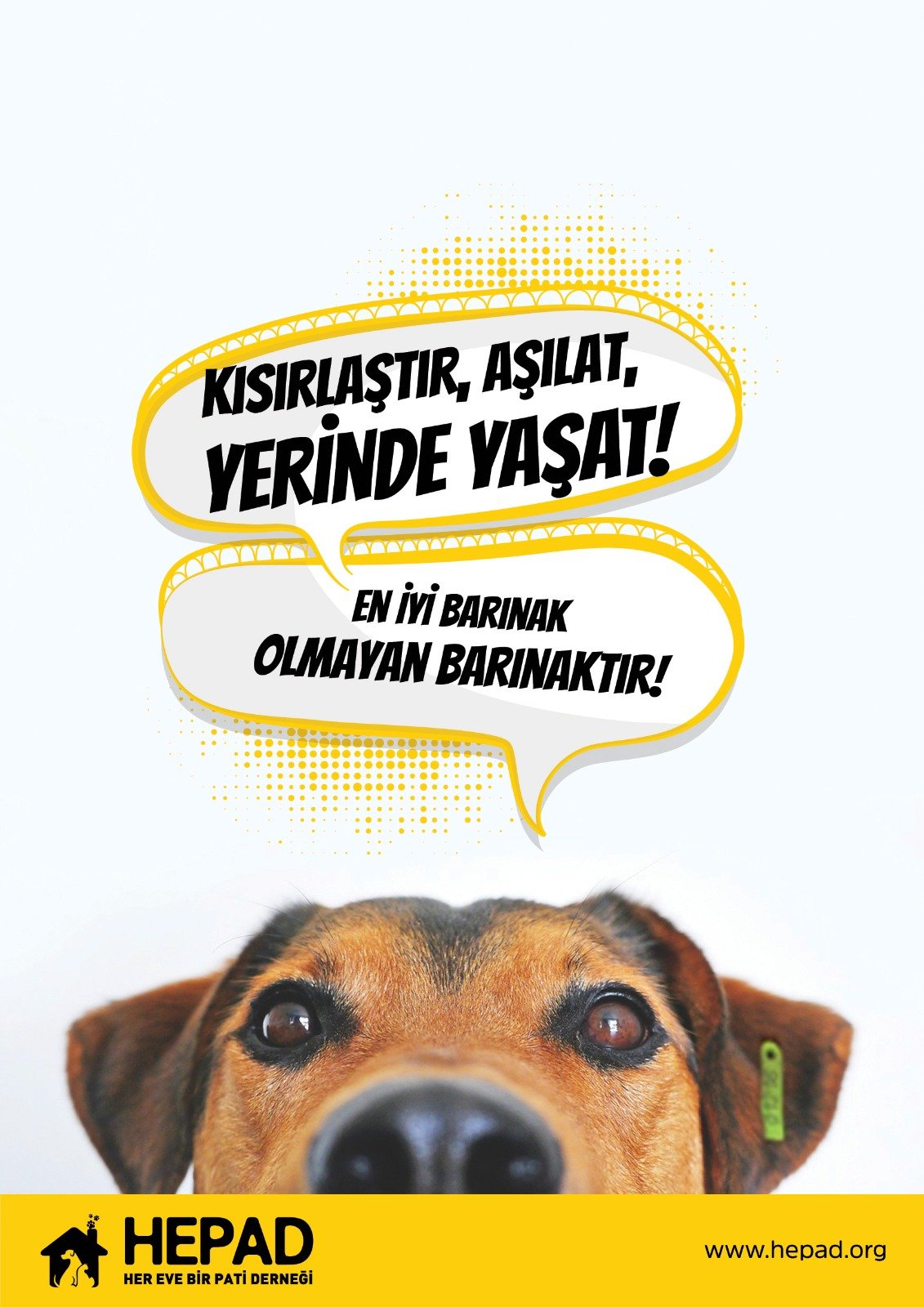 WhatsApp Image 2025-10-21 at 16.36.17