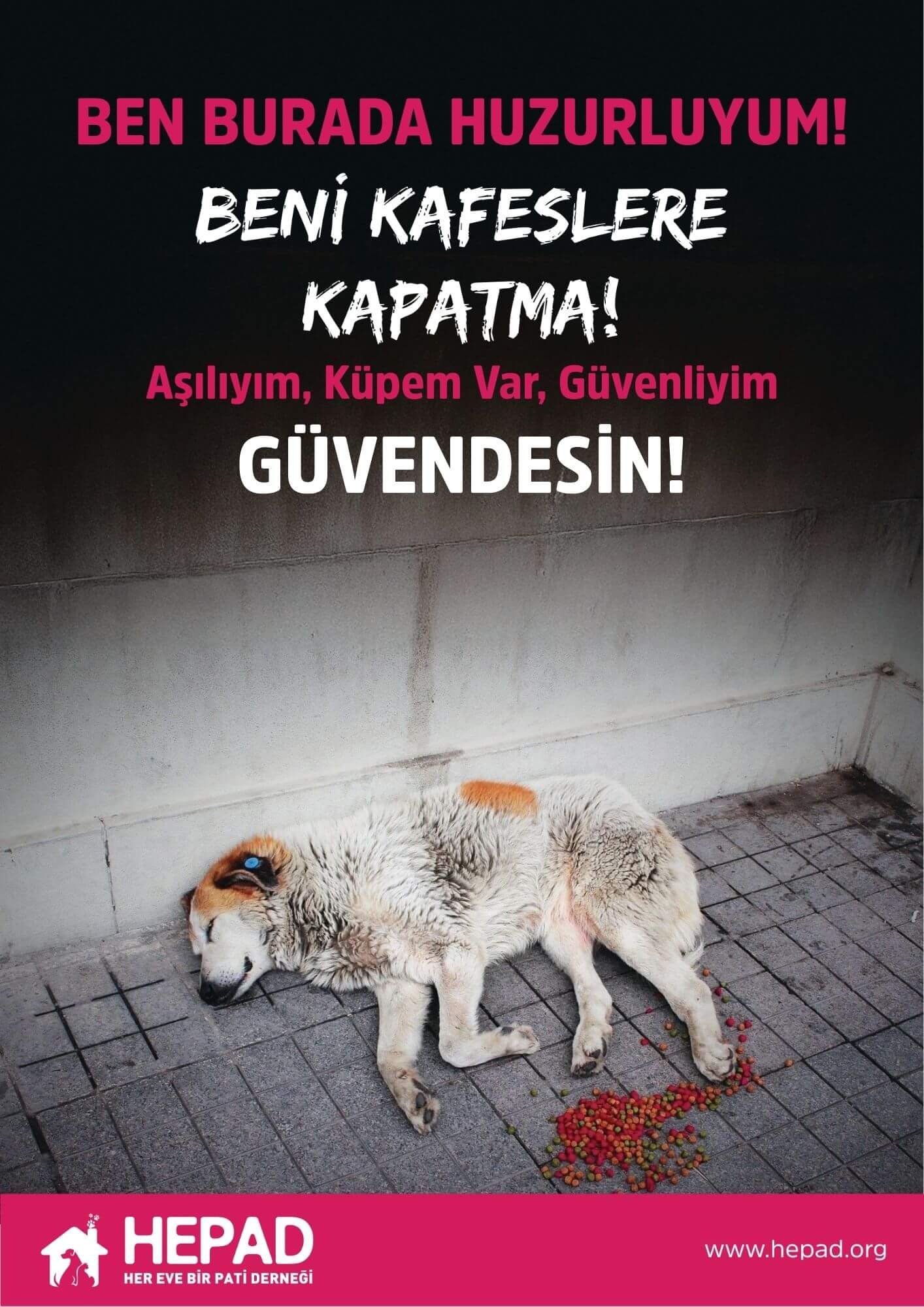 hepad - afiş - a3 - güvenliyim, güvendesin.pdf
