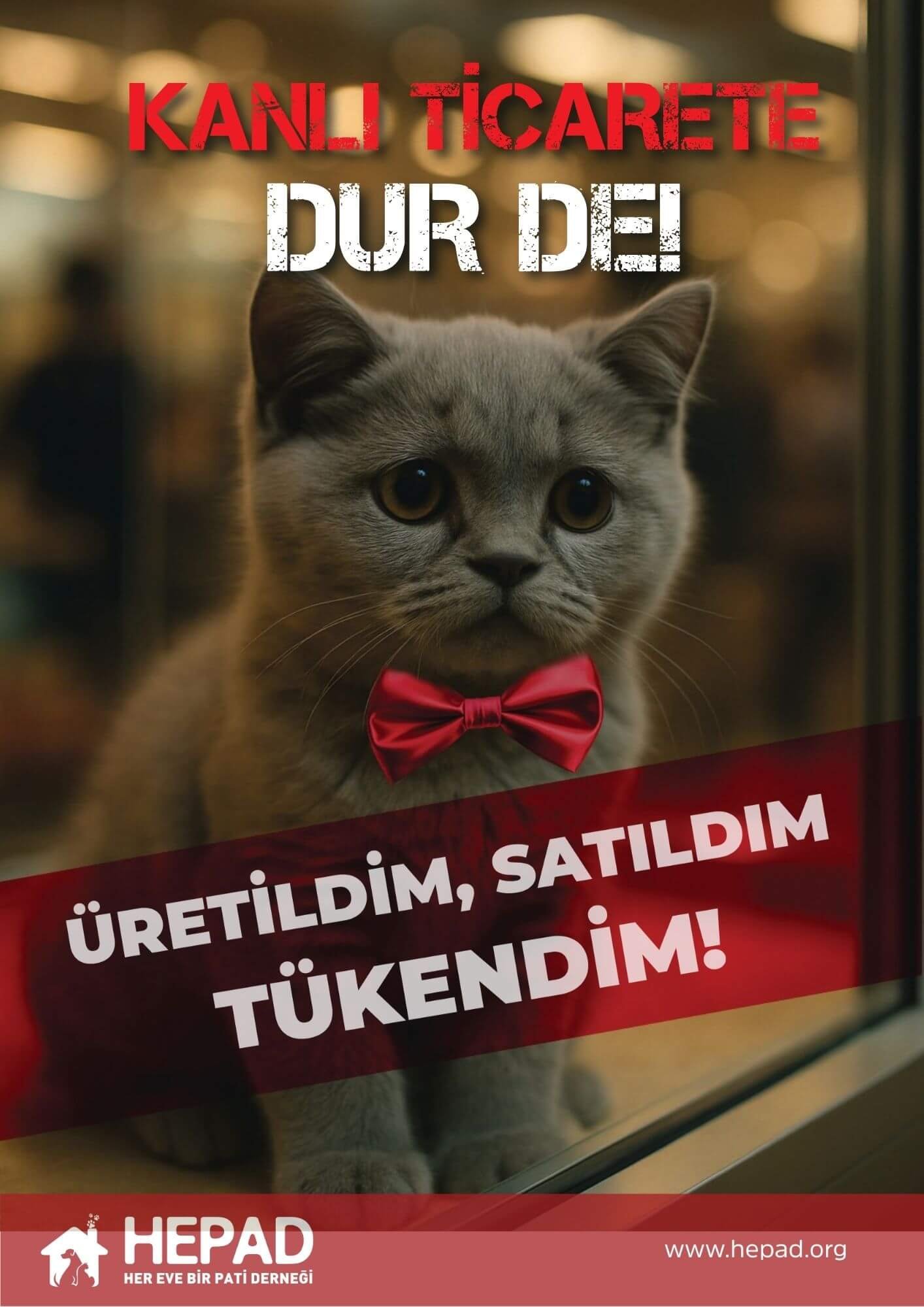 hepad - afiş - a3 - üretildim satıldım.pdf