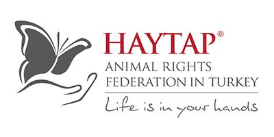haytap