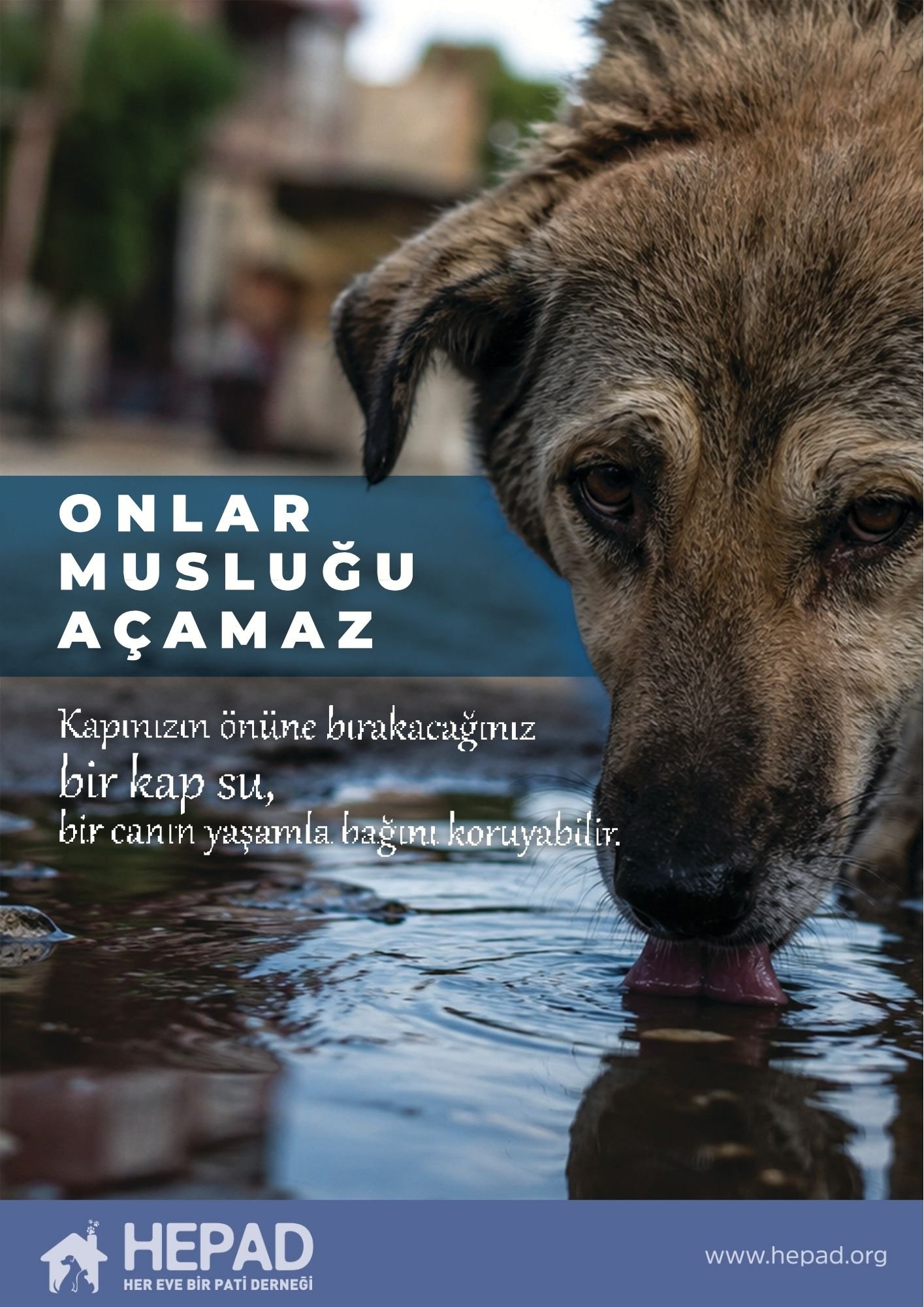 hepad - afiş - sıcak havalarda su - A3.pdf