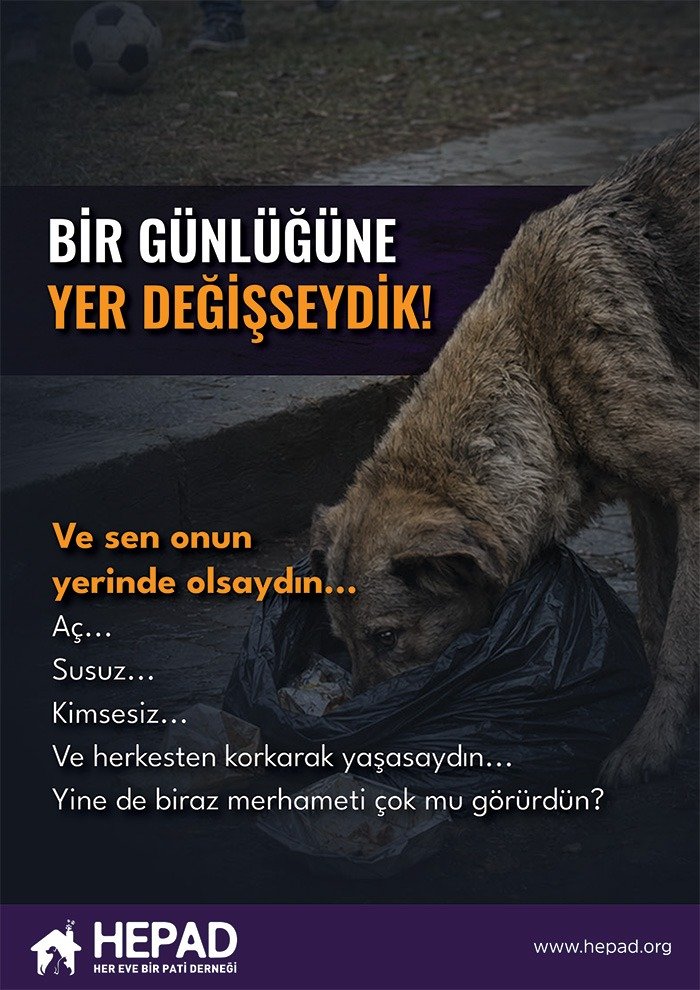 2026 afiş (3)