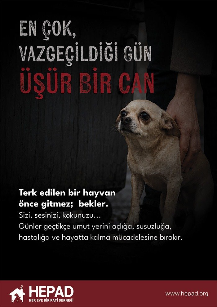 2026 afiş (6)